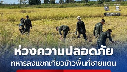 กกล.บูรพา ลงแขกเกี่ยวข้าว ช่วยชาวนาพื้นที่ชายแดน