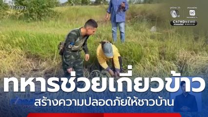 กกล.บูรพา ช่วยชาวนาเกี่ยวข้าว