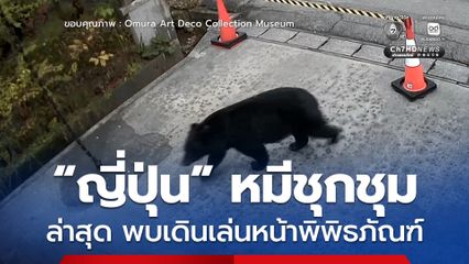 ญี่ปุ่น “หมี” ชุม ปีนี้มีรายงานหมีทำร้ายคนกว่า 100 ครั้ง ล่าสุด พบเดินเล่นหน้าพิพิธภัณฑ์ จ.อากิตะ