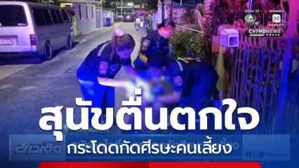 สุนัขตกใจตื่น กระโดดกัดศีรษะคนเลี้ยง