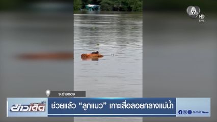 ช่วยแล้ว ลูกแมว เกาะเสื่อลอยกลางแม่น้ำ