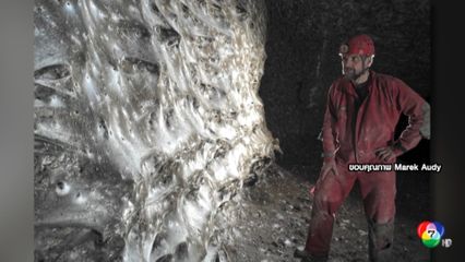 พบรังใยแมงมุมขนาดมหึมา ที่ชายแดนกรีซ-แอลเบเนีย