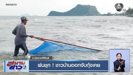 ฝนชุก ! ชาวบ้านออกจับกุ้งเคย