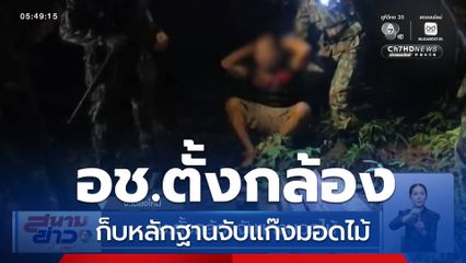 อช.ตั้งกล้องจับแก๊งมอดไม้