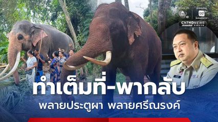 ทำเต็มที่ พลายประตูผา พลายศรีณรงค์ ขอพากลับมาดูแลเอง