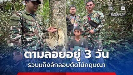 เจ้าหน้าที่ อช.เขาใหญ่ ตามลอยแก๊งลักลอบตัดไม้กฤษณาอยู่ 3 วัน สุดท้ายรวบได้ 1 คน อีก 2 คน หลบหนีไปได้