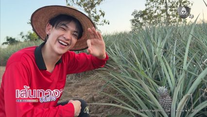 ชาย สมชาย พาเที่ยวไร่สับปะรดของตัวเอง ที่เชียงราย