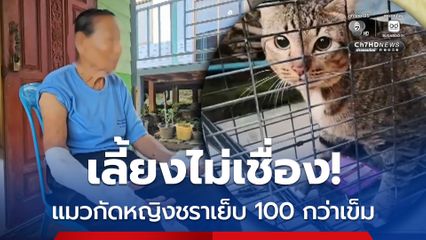 เลี้ยงไม่เชื่อง! แมวกัดหญิงชราเย็บ 100 กว่าเข็ม