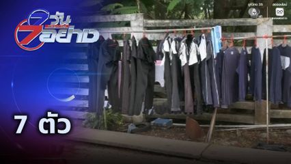 7 วัน 7 อย่าง : 7 ตัว