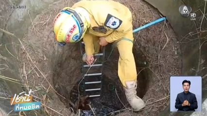นาทีช่วย สุนัขตกบ่อน้ำลึก 4 เมตร