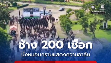 ช้าง 200 เชือก นั่งหมอบกราบแสดงความอาลัย