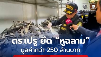 ตำรวจเปรูยึด “หูฉลาม” กว่า 6 ตัน มูลค่ากว่า 250 ล้านบาท เตรียมมุ่งหน้าส่งไปเอเชีย