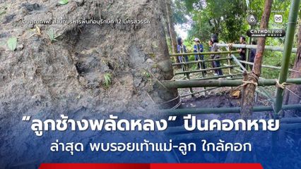 ทีมห้วยขาแข้ง ใช้โดรนบินหาหลัง “ลูกช้างพลัดหลง” ปีนคอกหาย ล่าสุด พบรอยเท้าแม่ช้าง-ลูกช้าง คาดอาจมารับกลับโขลงแล้ว
