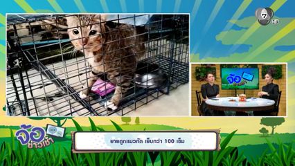 ยายถูกแมวกัด เย็บกว่า 100 เข็ม