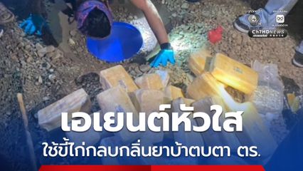 เอเยนต์หัวใส ใช้ขี้ไก่กลบกลิ่นยาบ้าตบตา ตร.