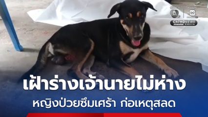 สุดสลด ! ตูบสุดรักนอนเฝ้าร่างเจ้าของไม่ห่าง หลังผูกคอดับในบ้าน สาเหตุจากขาดยาโรคซึมเศร้า 