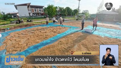 ชาวนาช้ำใจ ข้าวตากไว้ โดนขโมย