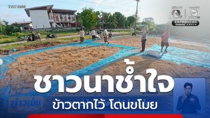 ชาวนาช้ำใจ ข้าวตากไว้ โดนขโมย