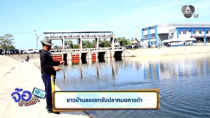 ชาวบ้านลงแขกจับปลาหมอคางดำ