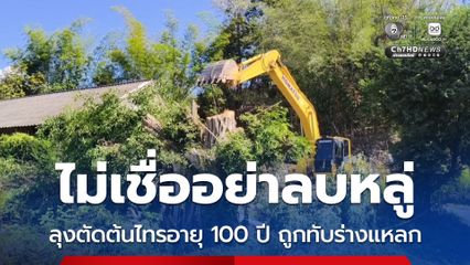 ไม่เชื่ออย่าลบหลู่ ลุงตัดต้นไทรอายุ 100 ปี ถูกทับร่างแหลก