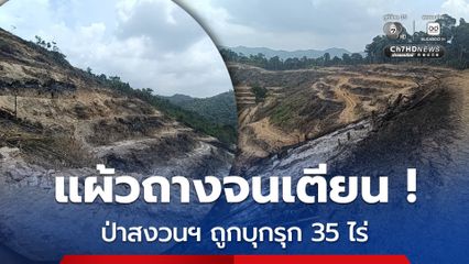 ป่าสงวนแห่งชาติ เนื้อที่35 ไร่ ถูกบุกรุกแผ้วถางจนเตียน