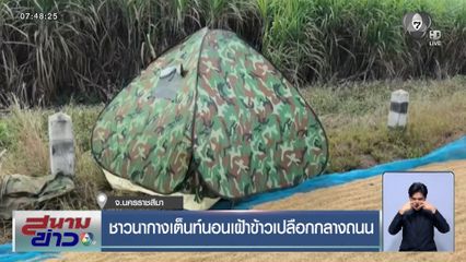 ชาวนากางเต็นท์นอนเฝ้าข้าวเปลือกกลางถนน