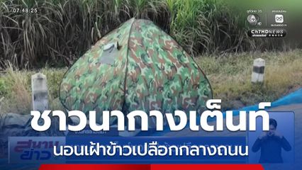 ชาวนากางเต็นท์นอนเฝ้าข้าวเปลือกกลางถนน