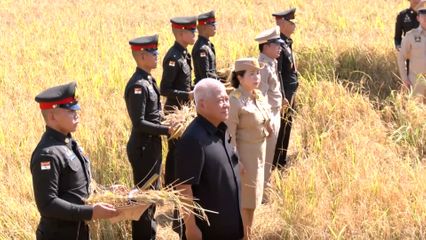 สมเด็จพระกนิษฐาธิราชเจ้า กรมสมเด็จพระเทพรัตนราชสุดา ฯ สยามบรมราชกุมารี ทอดพระเนตรการเกี่ยวข้าว แปลงสาธิตการเกษตร โรงเรียนนายร้อยพระจุลจอมเกล้า จังหวัดนครนายก