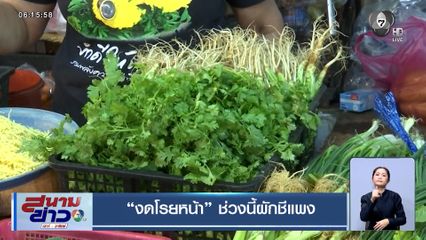งดโรยหน้า ช่วงนี้ผักชีแพง สวนทางกับราคาข้าว ร่วงหนัก! ตกต่ำสุดในรอบ 20 ปี