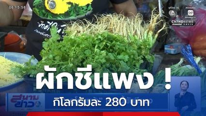 งดโรยหน้า ช่วงนี้ผักชีแพง สวนทางกับราคาข้าว ร่วงหนัก! ตกต่ำสุดในรอบ 20 ปี