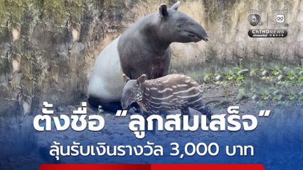 ตั้งชื่อ “ลูกสมเสร็จ” ลุ้นรับเงินรางวัล 3,000 บาท
