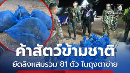 จับขบวนการค้าสัตว์ข้ามชาติ ช่วยลิงแสมรวม 81 ตัว ถูกยัดอยู่ในถุงตาข่าย