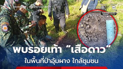 พบรอยเท้า “เสือดาว” ในพื้นที่ป่าอุ้มผาง ใกล้ชุมชน