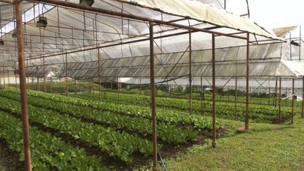 องคมนตรี เป็นประธานการประชุมติดตามการดำเนินงานศูนย์พัฒนาโครงการหลวงขุนวาง และสถานีเกษตรหลวงอินทนนท์ จังหวัดเชียงใหม่