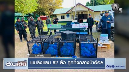 พบลิงแสม 62 ตัว ถูกทิ้งกลางป่าอ้อย