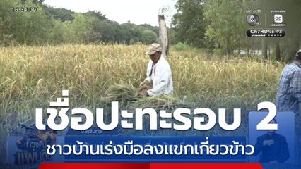 ชาวบ้านเร่งมือลงแขกเกี่ยวข้าว เชื่อปะทะรอบ 2 แน่