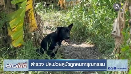 ตำรวจ ปส.ช่วยสุนัขถูกคนทารุณกรรม