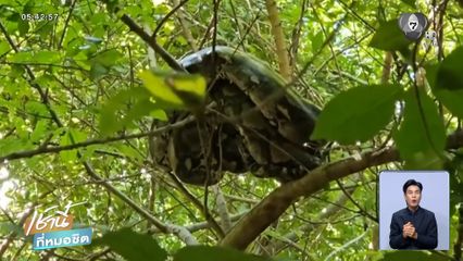 นึกว่าถุงขยะ ที่แท้ก็งูเหลือม จ.สระบุรี