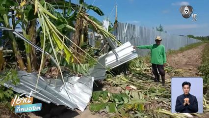 ผวา ช้างป่ารวมตัว บุกฟาร์มไก่หาของกิน จ.ปราจีนบุรี