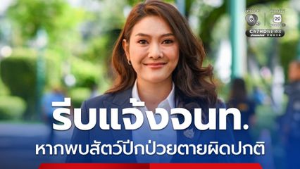 เฝ้าระวังโรคระบาด รีบแจ้งจนท. หากพบสัตว์ปีกป่วยตายผิดปกติ ช่วงปลายฝนต้นหนาว