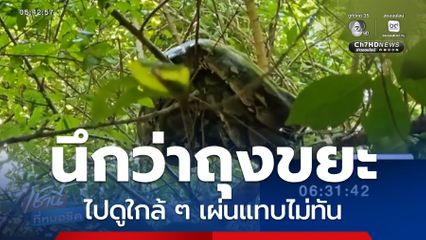 นึกว่าถุงขยะ ที่แท้ก็งูเหลือม จ.สระบุรี