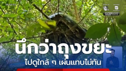 นึกว่าถุงขยะ ที่แท้ก็งูเหลือม จ.สระบุรี