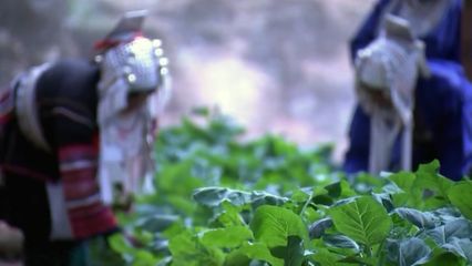 สารคดีเฉลิมพระเกียรติฯ พระราชปณิธาน ราษฎร์เปี่ยมสุขฯ ตอนที่ 3