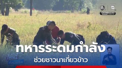 ทหารระดมกำลังช่วยชาวนาเกี่ยวข้าว จ.สระแก้ว