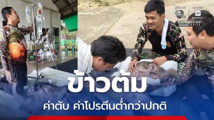 หมอห่วงอาการลูกช้าง ข้าวต้ม ค่าเลือด-ค่าโปรตีน ต่ำกว่าปกติ