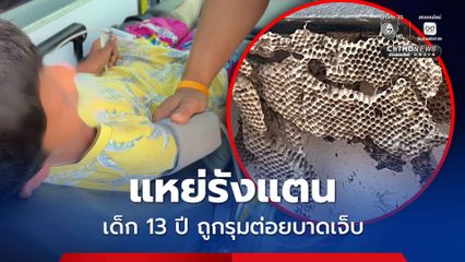 อุทาหรณ์ แหย่รังแตน เด็ก 13 ปี ถูกรุมต่อยบาดเจ็บ