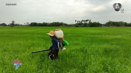 ชาวนาคิดหนัก รัฐปรับเปลี่ยนโซนปลูกข้าว