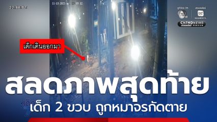 เตรียมลงพื้นที่ แก้ปัญหาหมาจร กัดเด็กตาย