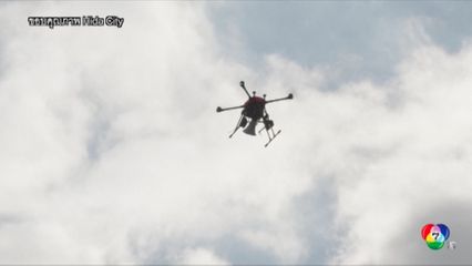 ใช้โดรนส่อง ป้องกันหมีทำร้ายคนในญี่ปุ่น