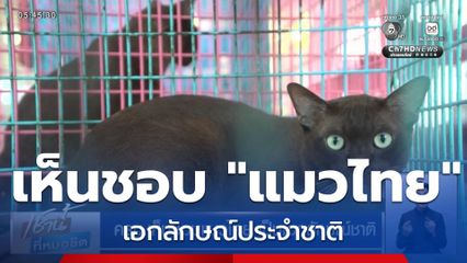 ครม.เห็นชอบแมวไทย เป็นเอกลักษณ์ชาติ